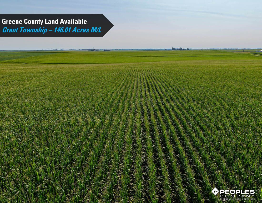 Listing Photo: Greene-County-Iowa-Farmland-Available-146-Acres-19686-Jefferson (3)